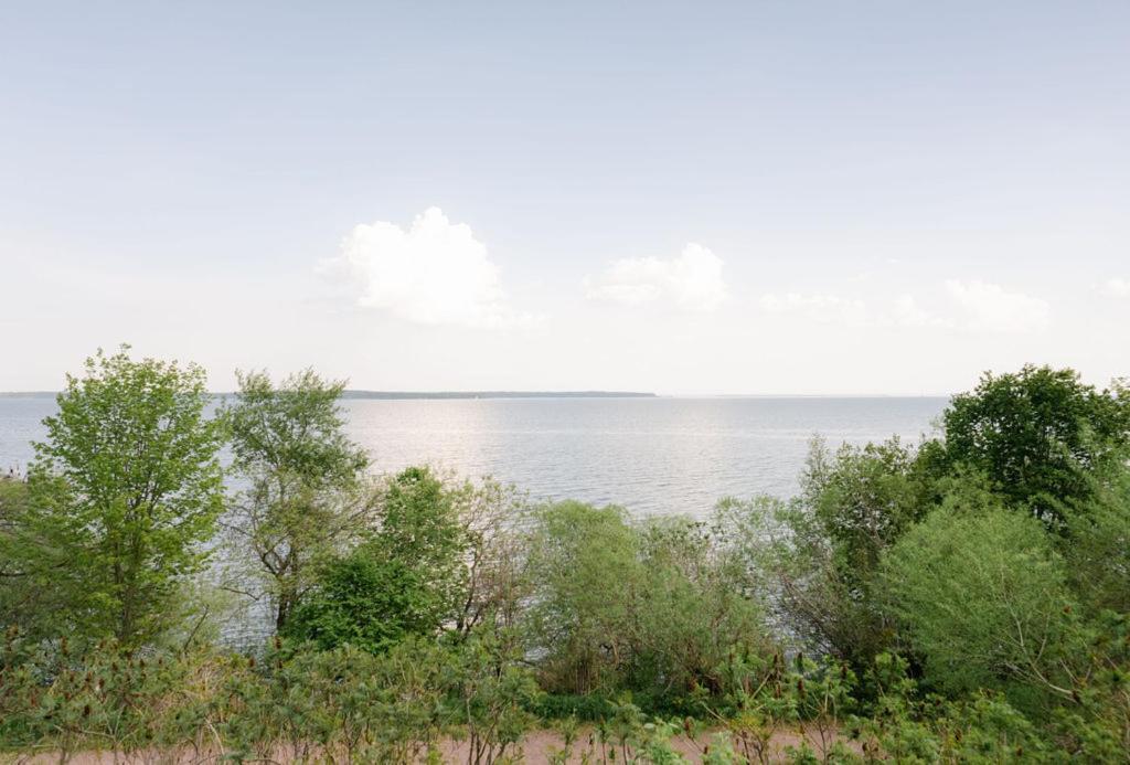 Seagull Bay Motel Bayfield Pokoj fotografie