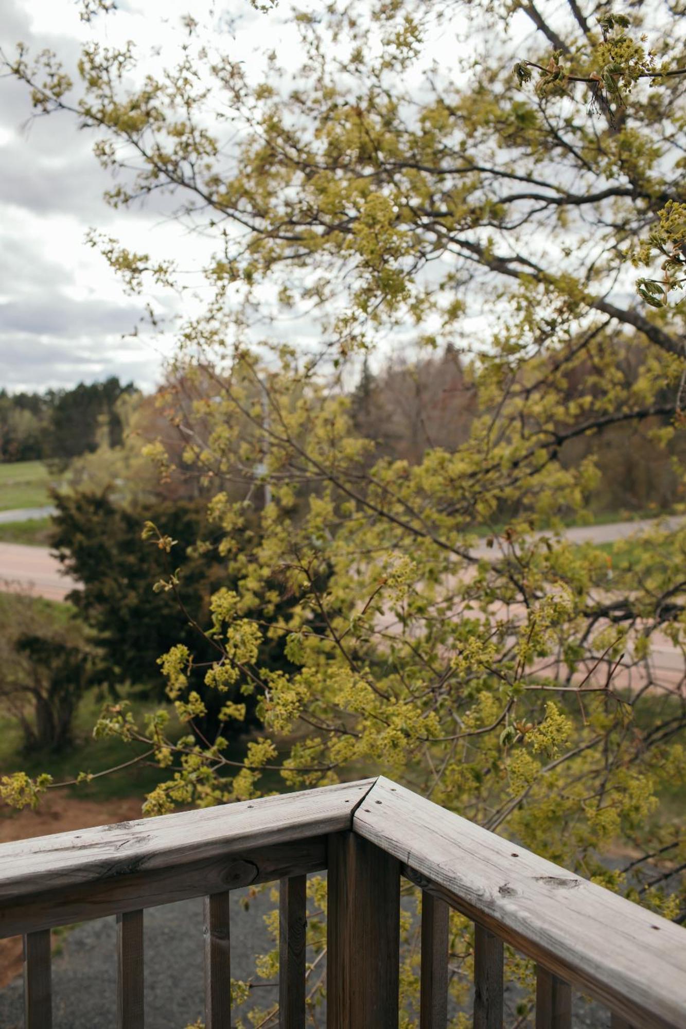 Seagull Bay Motel Bayfield Pokoj fotografie